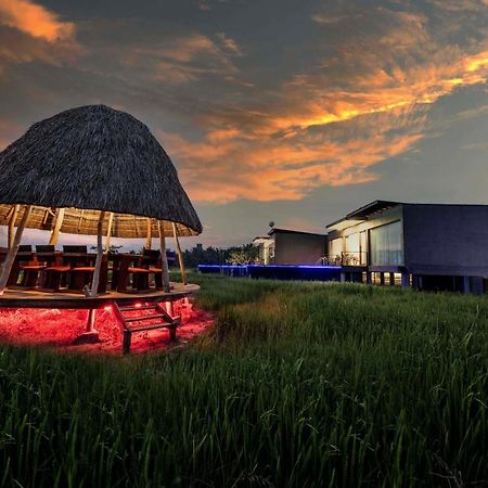 Blue Wild - Yala - Plastic Free & Sustainable Tissamaharama Zewnętrze zdjęcie