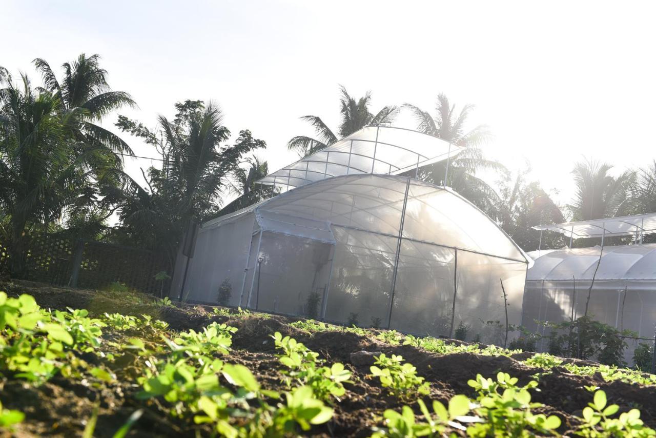 Blue Wild - Yala - Plastic Free & Sustainable Tissamaharama Zewnętrze zdjęcie